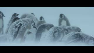 DIE REISE DER PINGUINE 2 | Offizieller deutscher Trailer | ab 02. November im Kino!